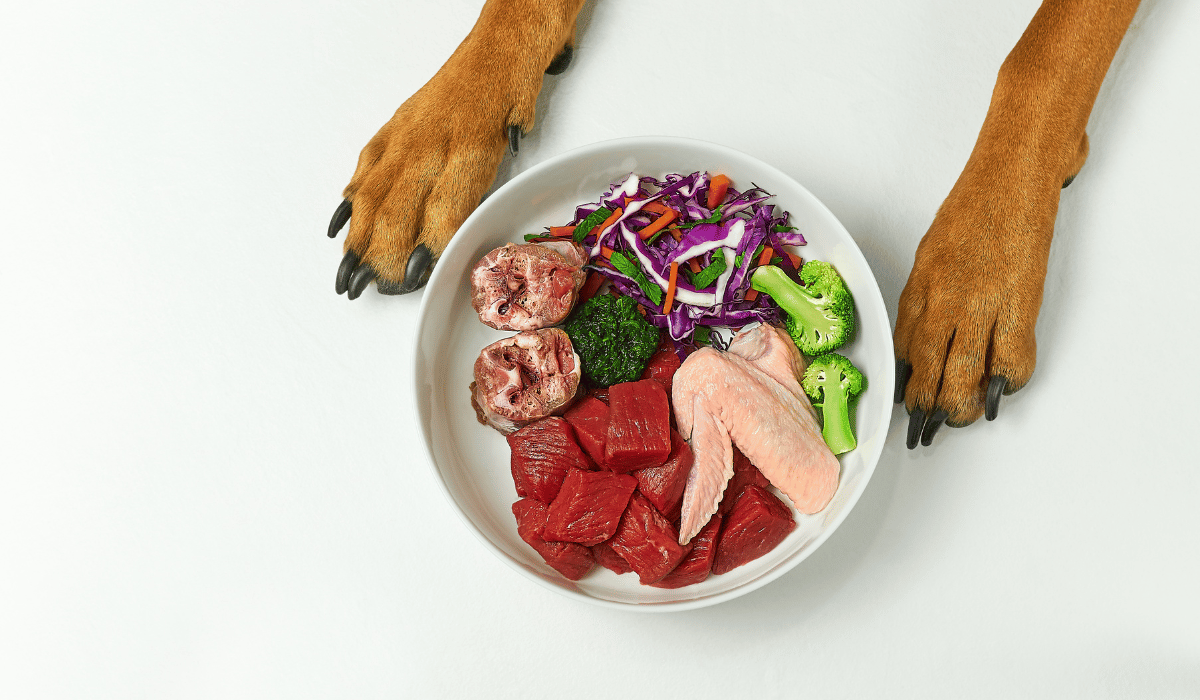 dog food