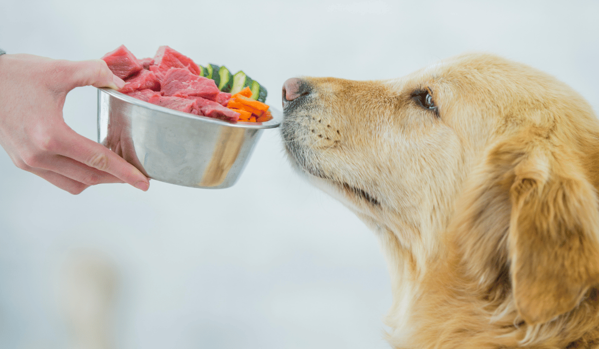 feeding raw food