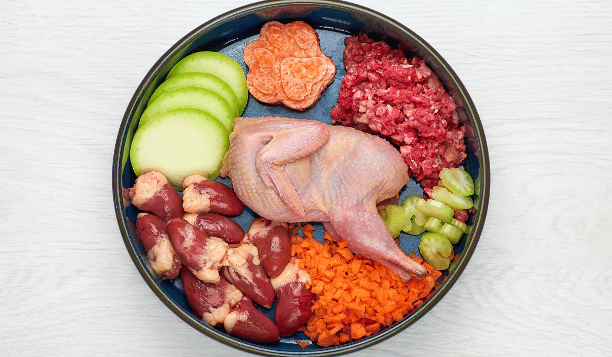 raw dog food