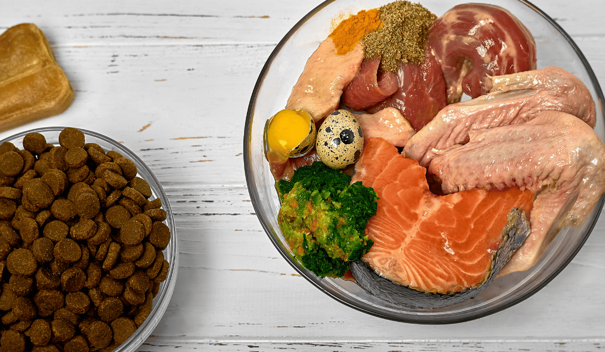raw and kibble ratio