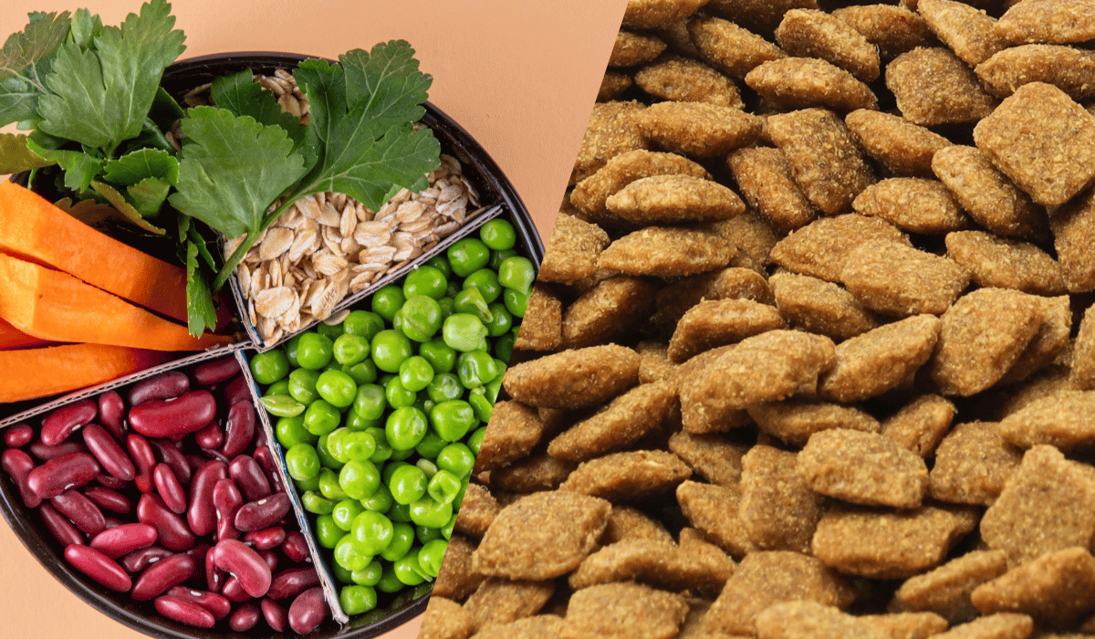 fresh vs kibble dog food