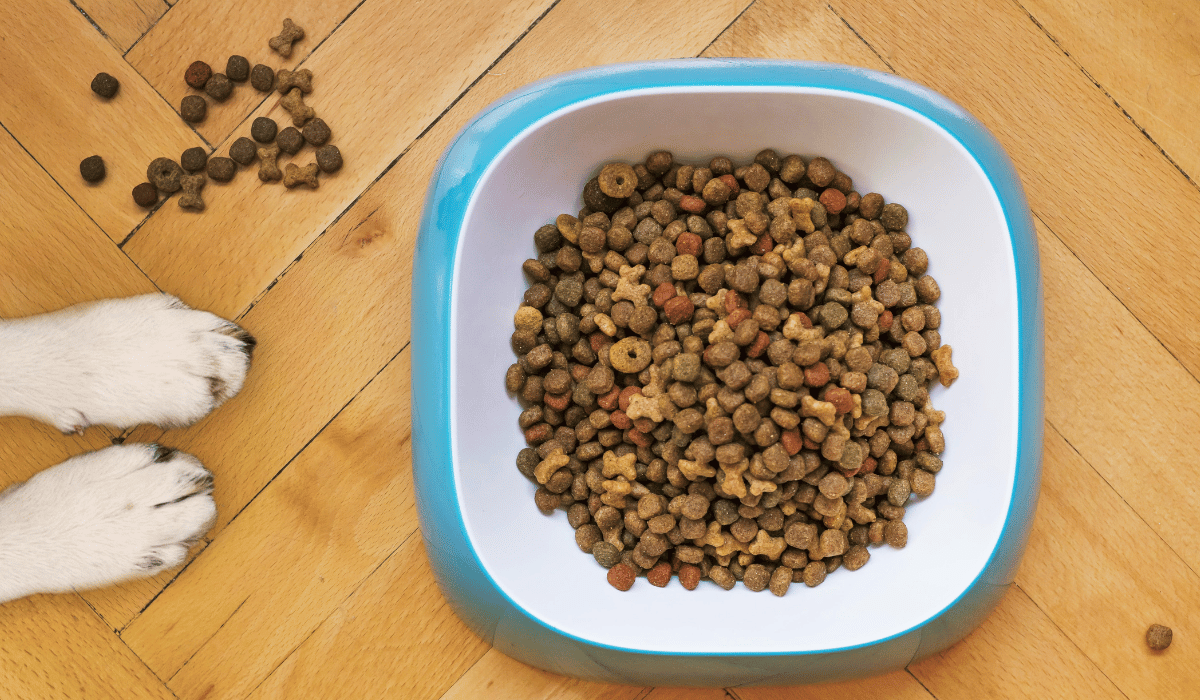 How Kibble Is Processed