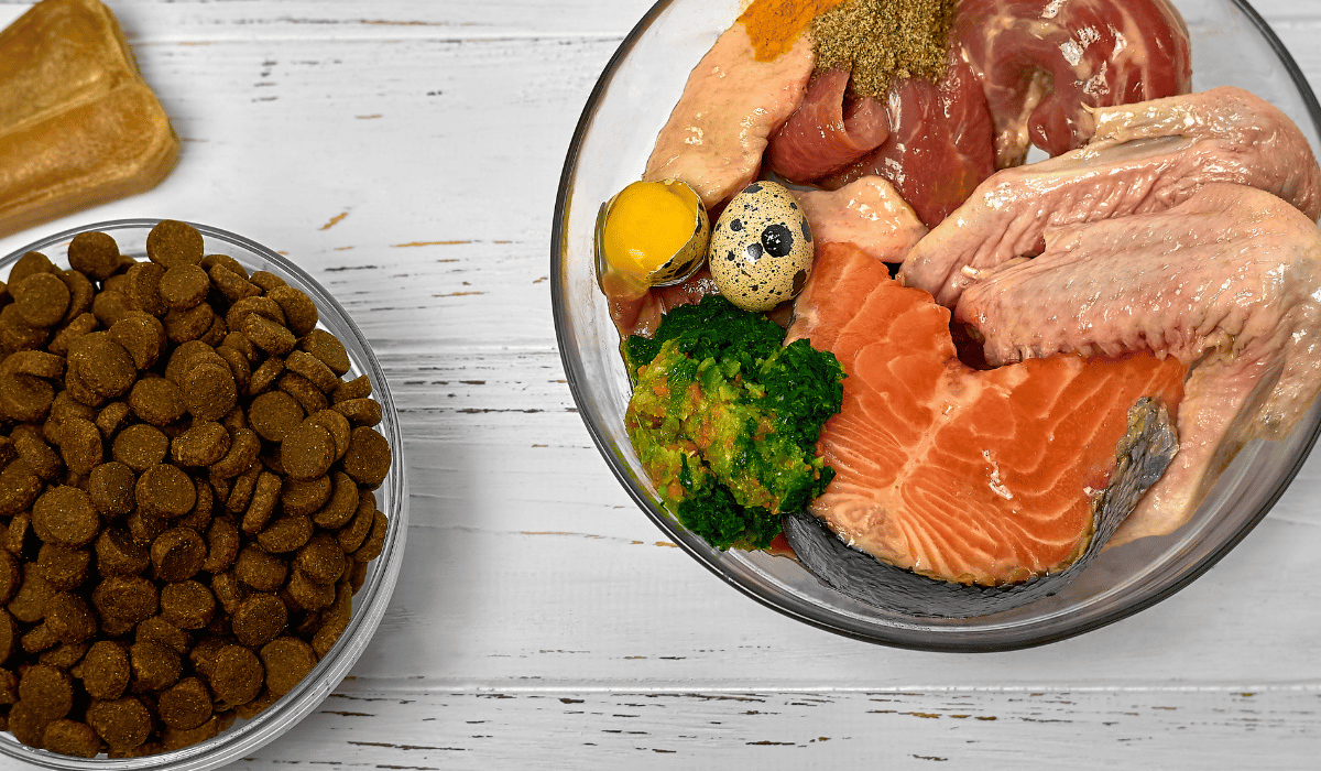 fresh vs kibble food