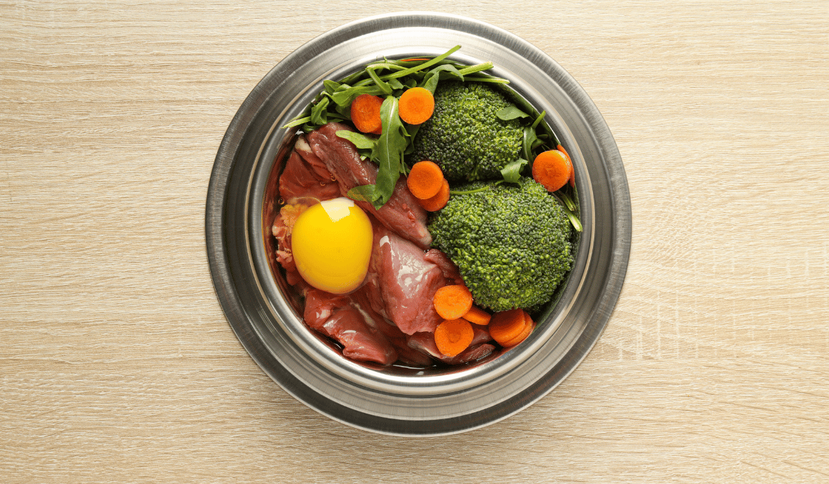 What Does the Research Actually Say About Raw Diets and Dental Disease?