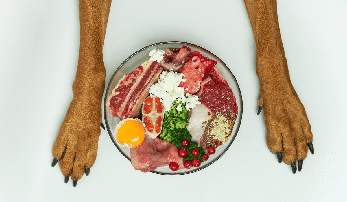 Should You Feed Raw for Dental Health Alone?
