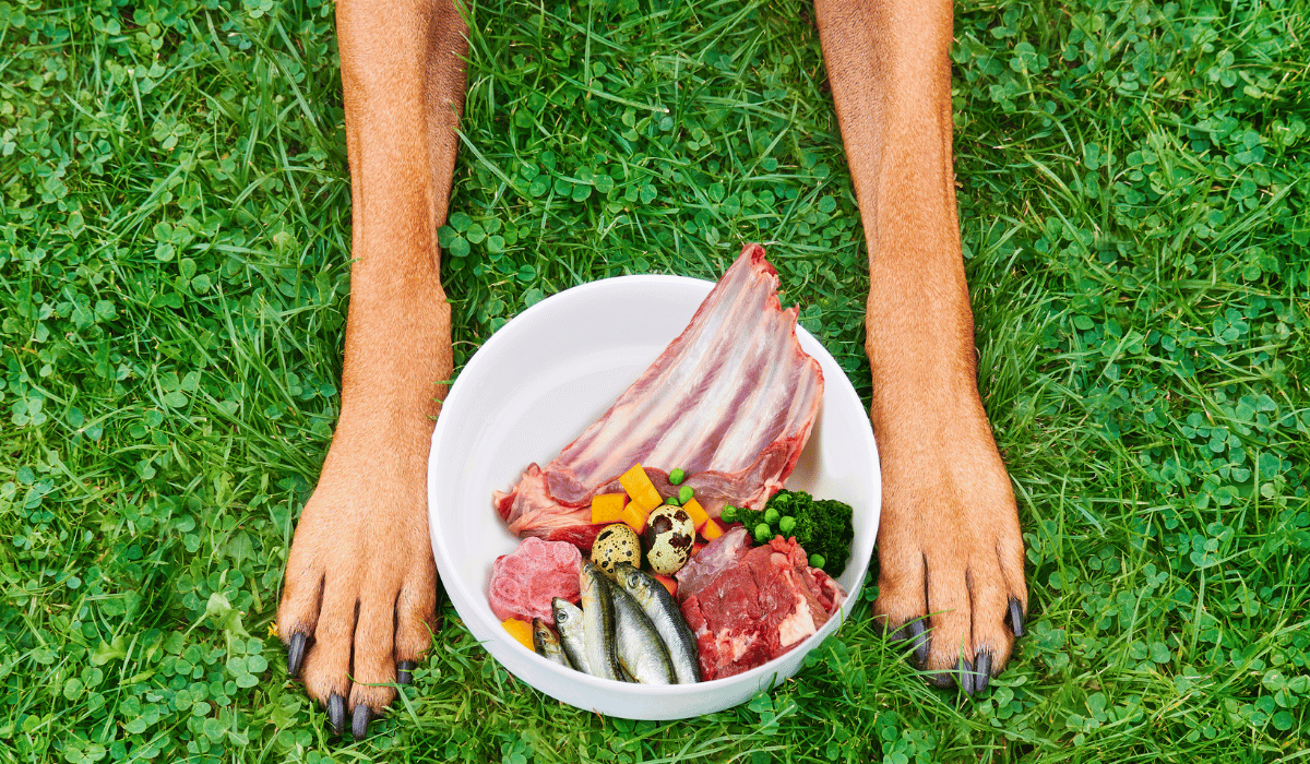 Cost per Pound: Why Freeze-Dried Costs More