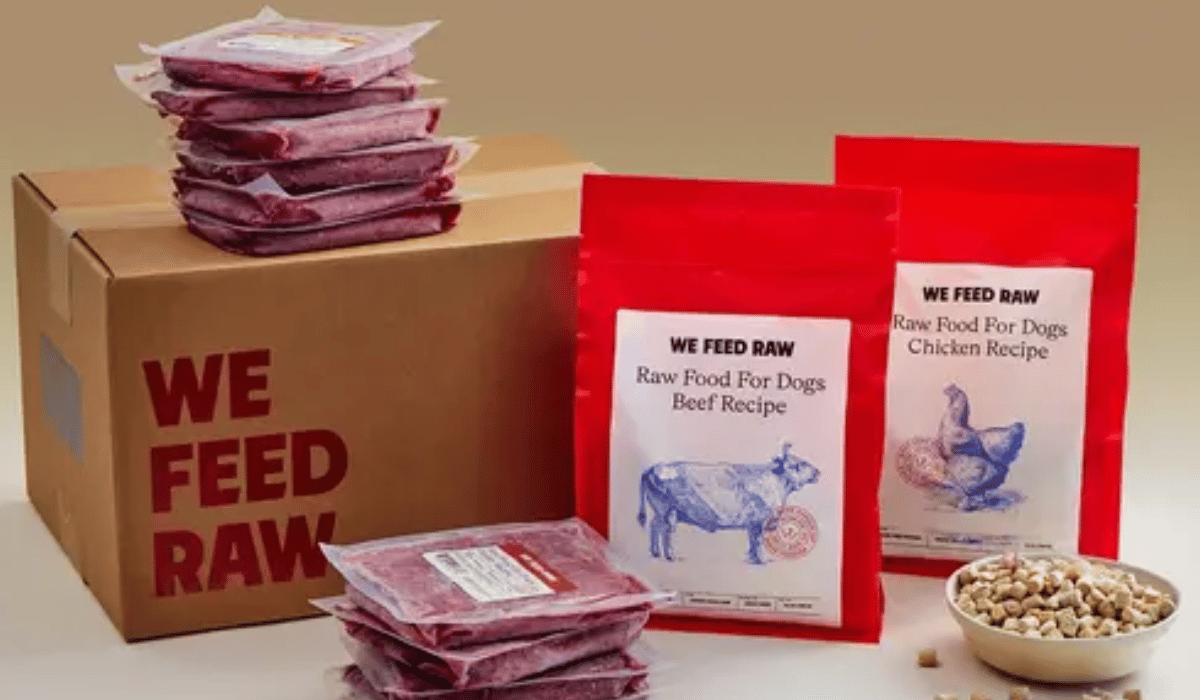 How to Run a Proper Elimination Trial with Raw Food