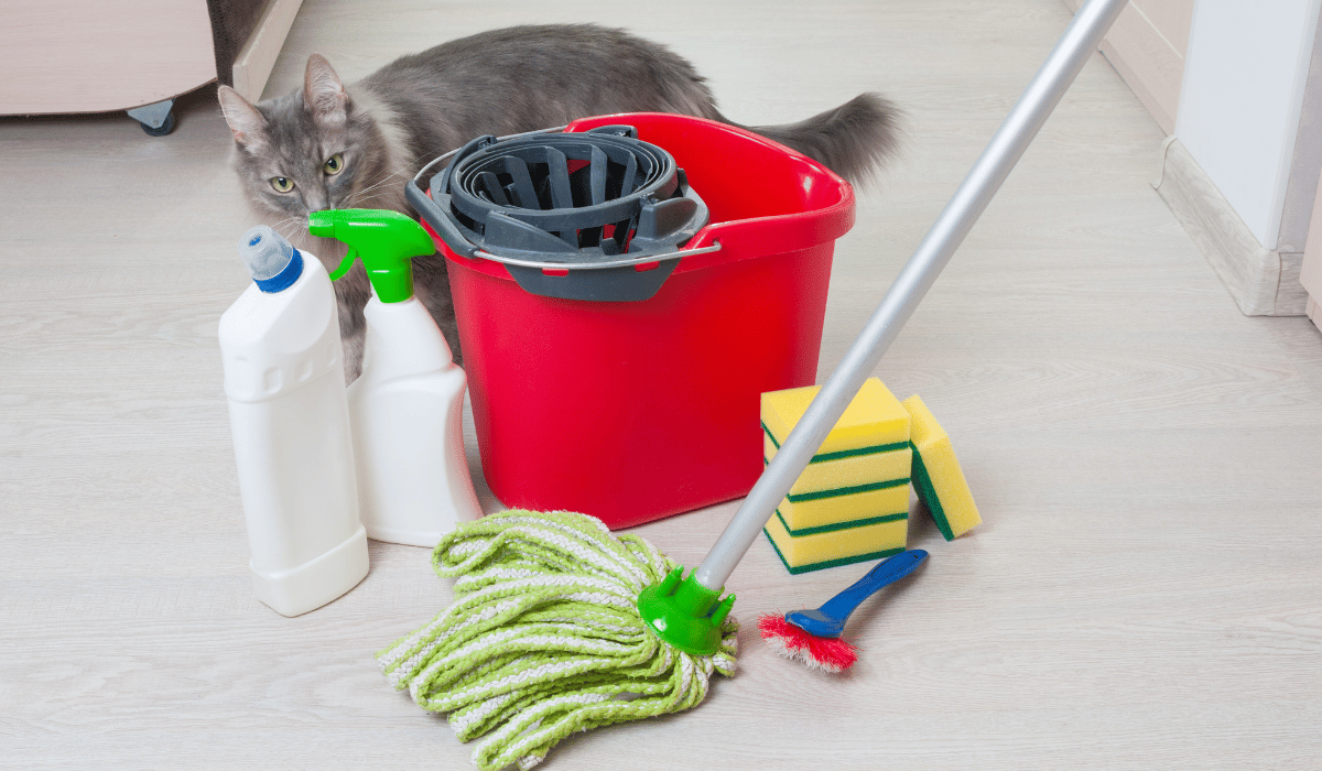 how often should pet owners hire a cleaning