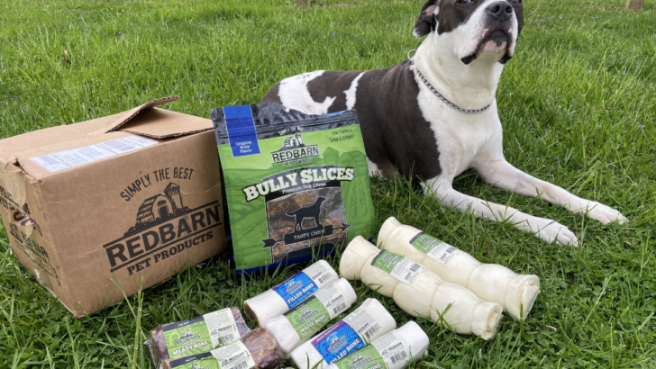 Red Barn Dog Bones Review and Guide