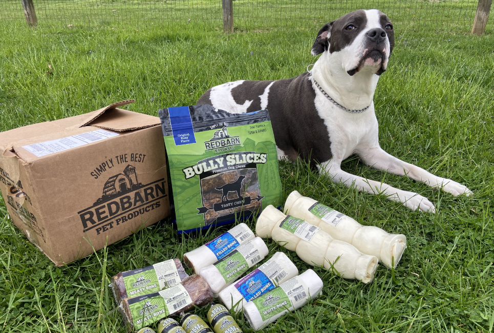Red Barn Dog Bones Review and Guide Scout Knows